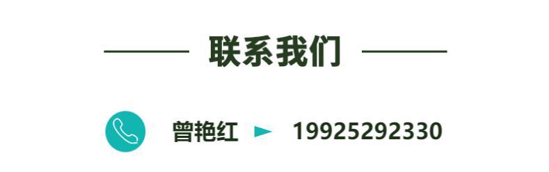 联系我们_艳红