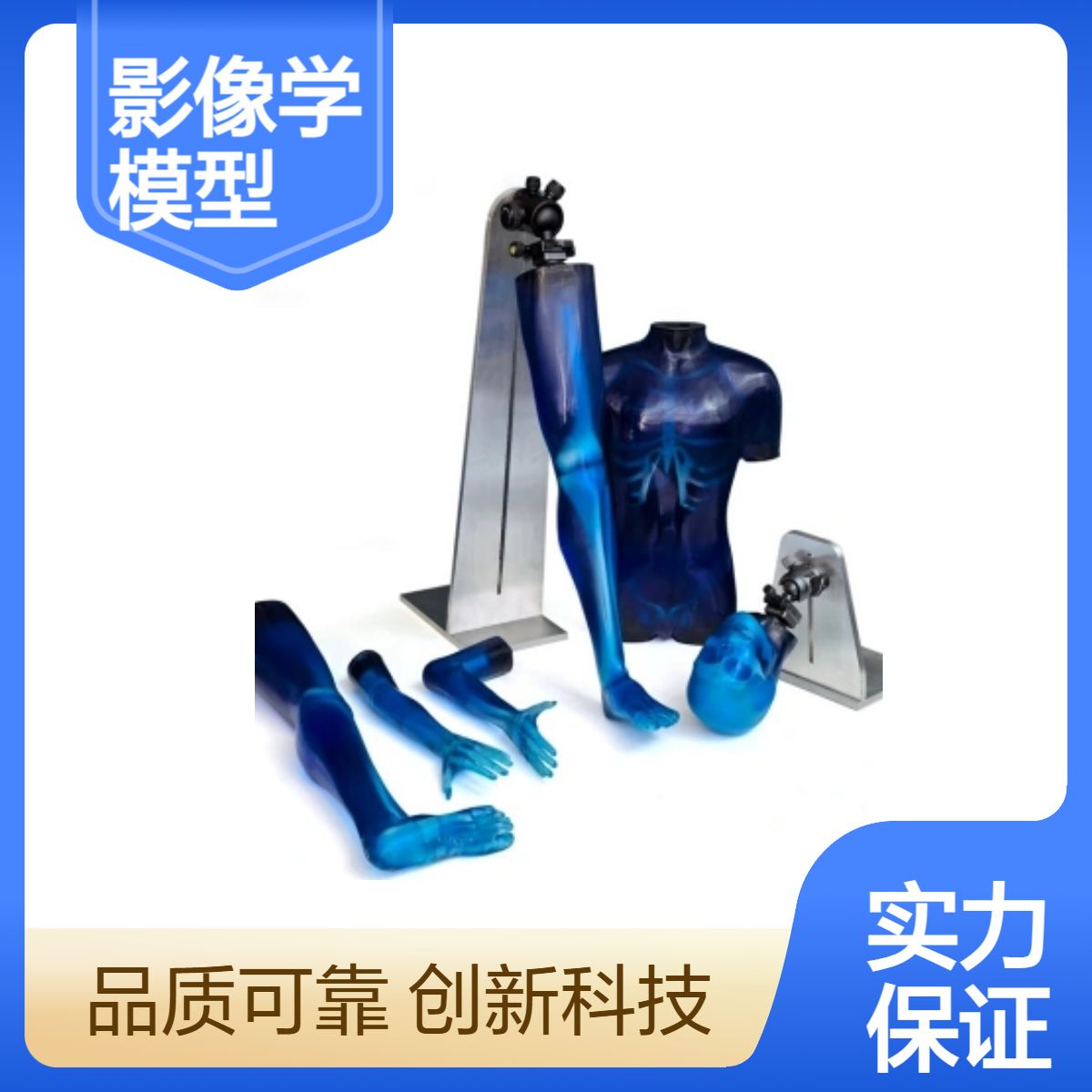 儿科影像学模型CT扫描培训儿童仿真体模