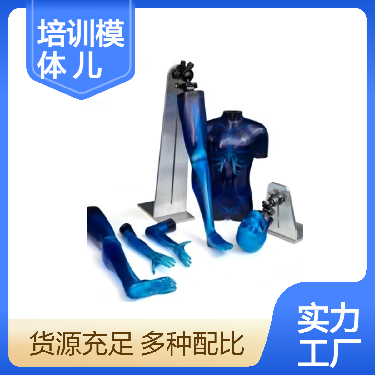 仿真儿童培训模体放射扫描培训教学儿童模体