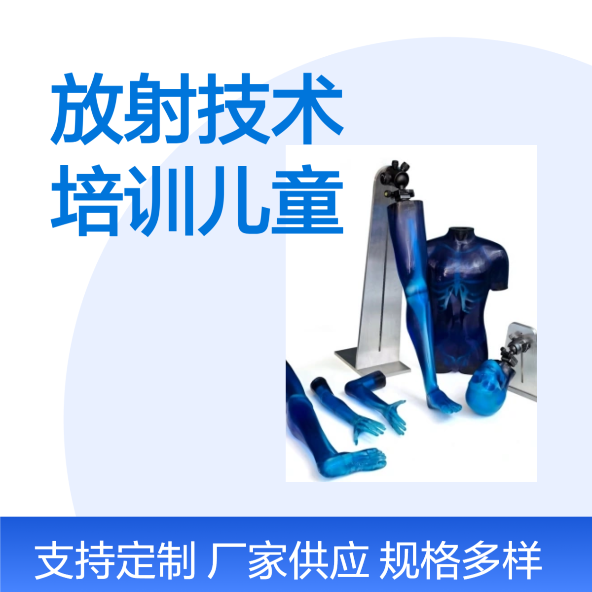 放射技术培训儿童模型加工定做产品质保一年