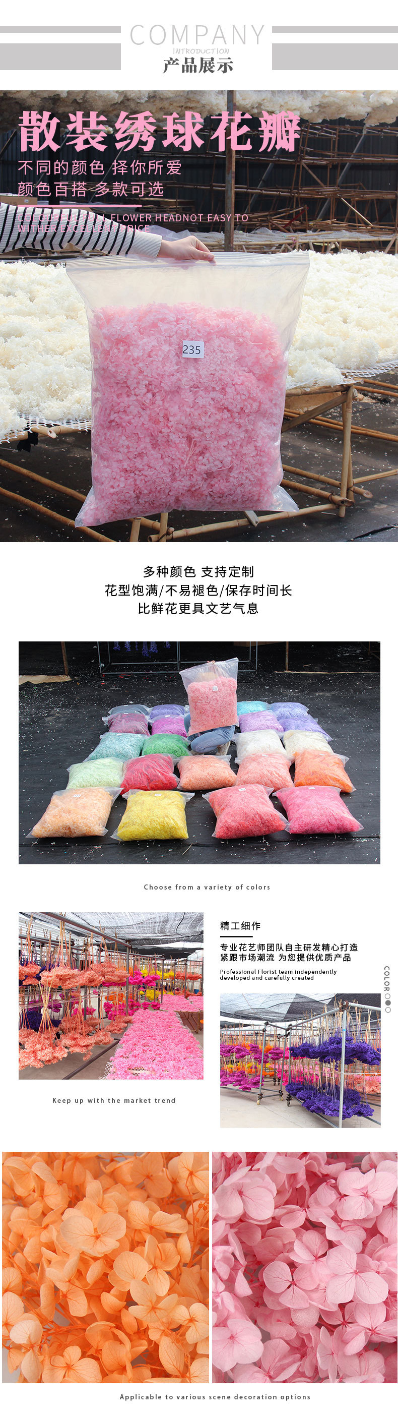 1000克绣球详情页_04.jpg