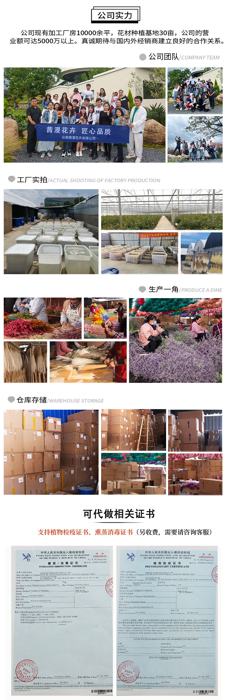 1000克绣球详情页_08.jpg