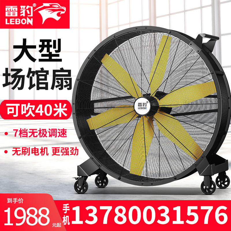 雷豹工业风扇厂家节能篮球馆餐厅流水线大风扇手推风扇EF4822D
