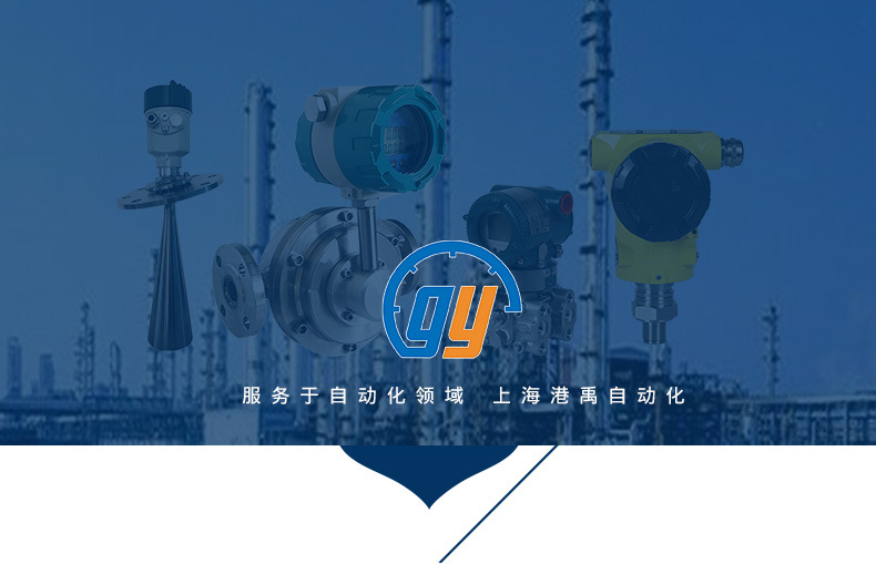 上海港禹自动化仪表有限公司