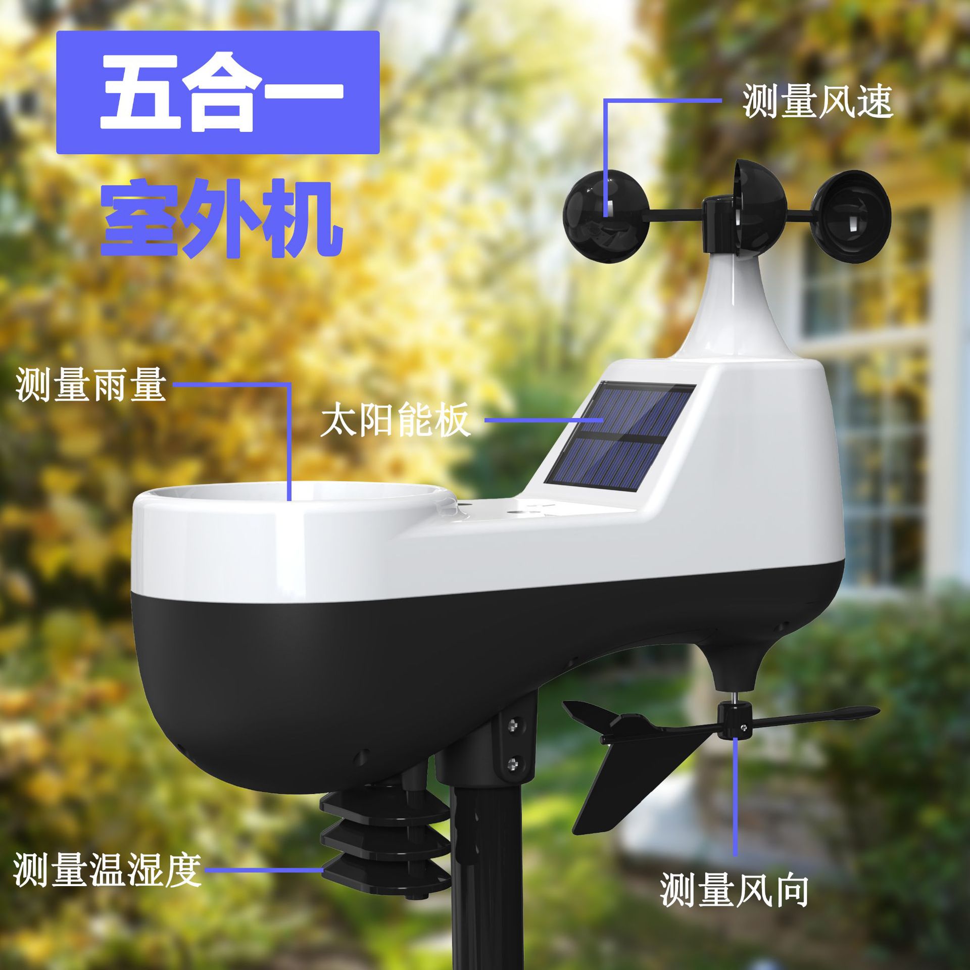 主图3