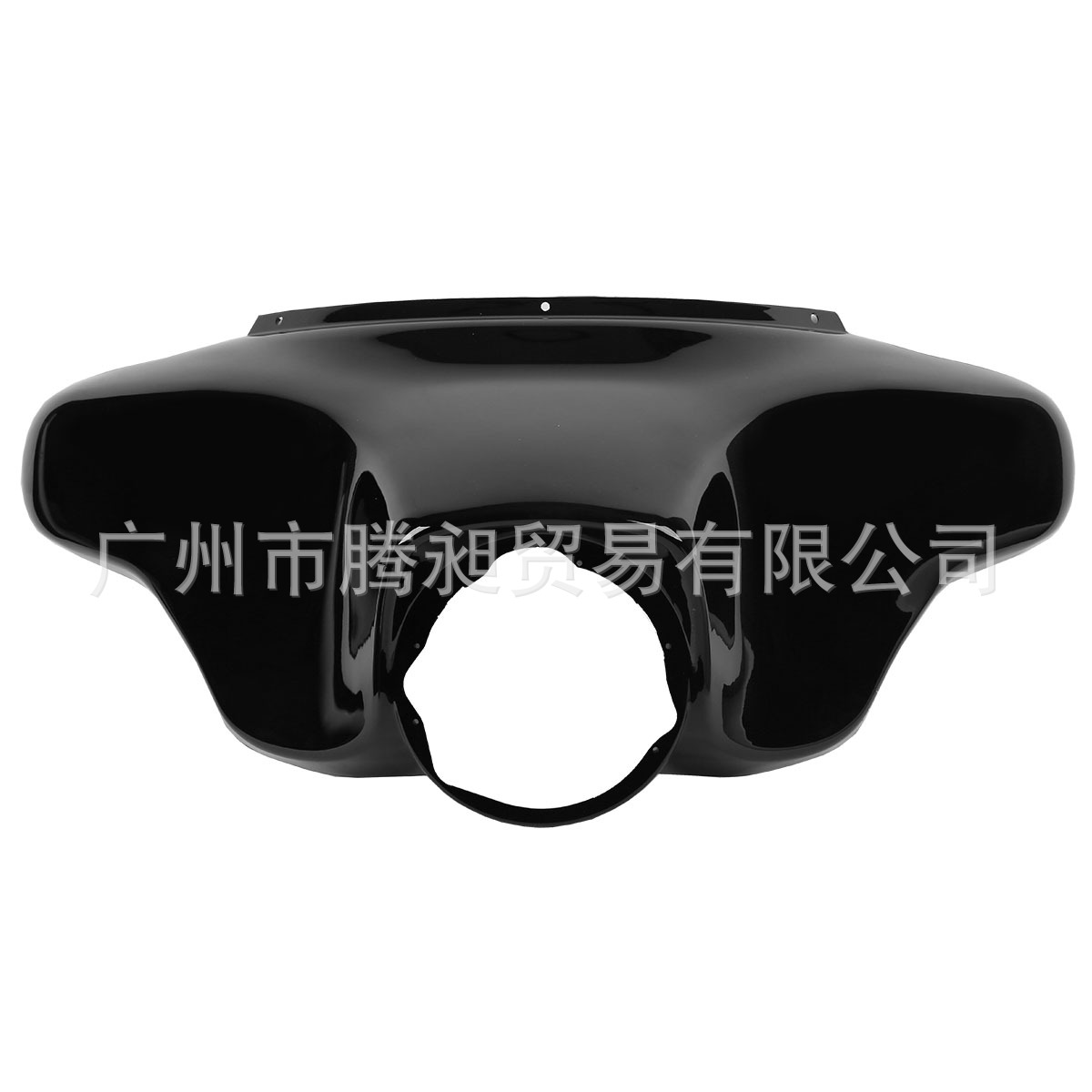 XF290689 (2)