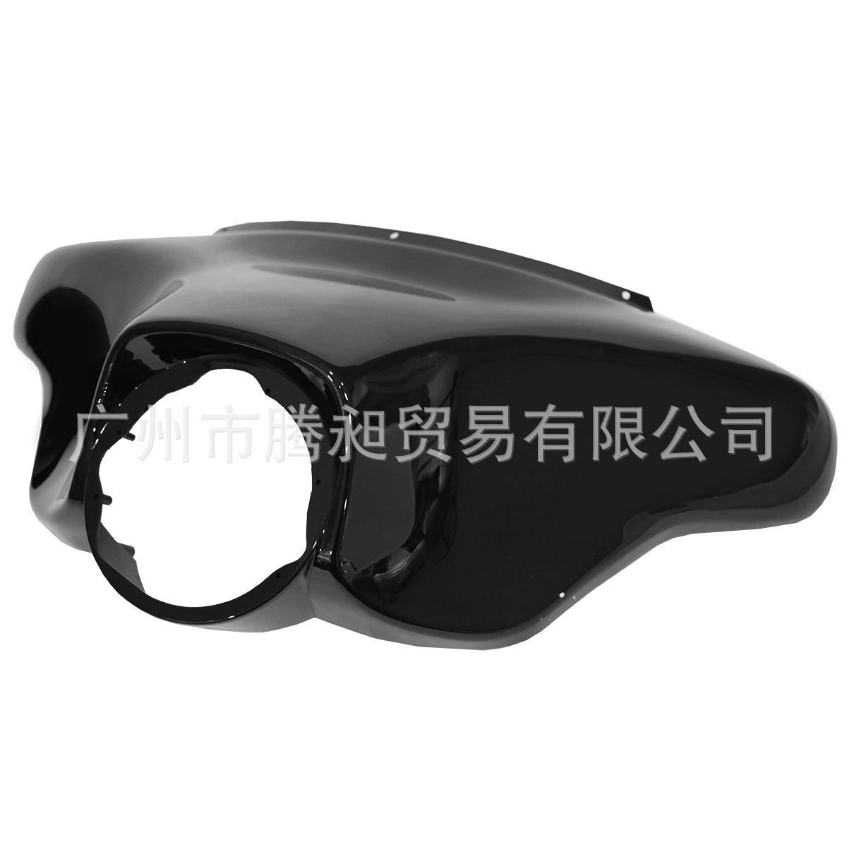 XF290689 (5)