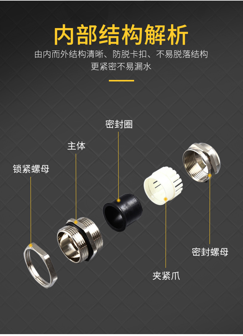 全冠_05.jpg