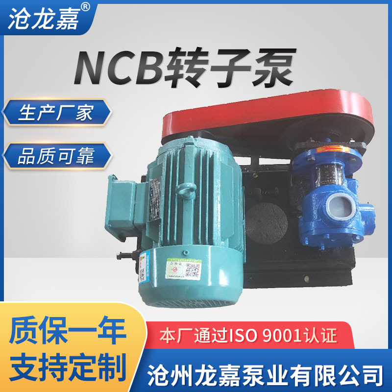 龙嘉电动高粘度转子泵NCB转子泵 蜂蜜糖浆泵白乳胶泵树脂泵涂料泵