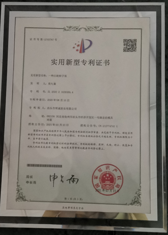 一种凸转子泵