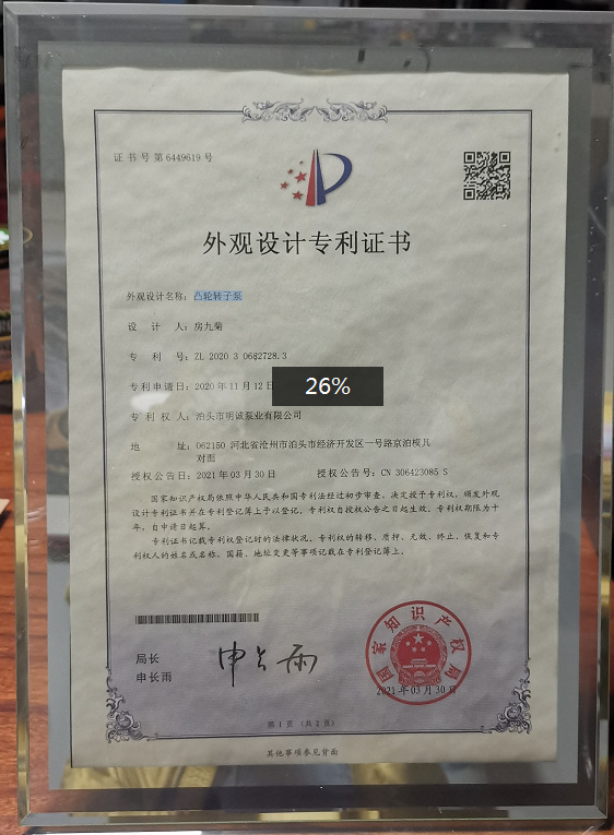 凸轮转子泵