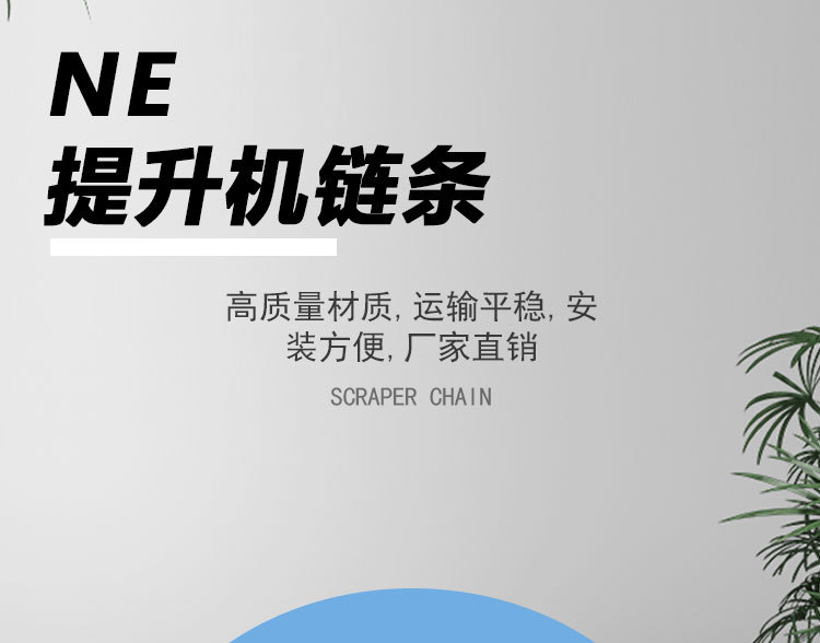 NE提升机链条_01