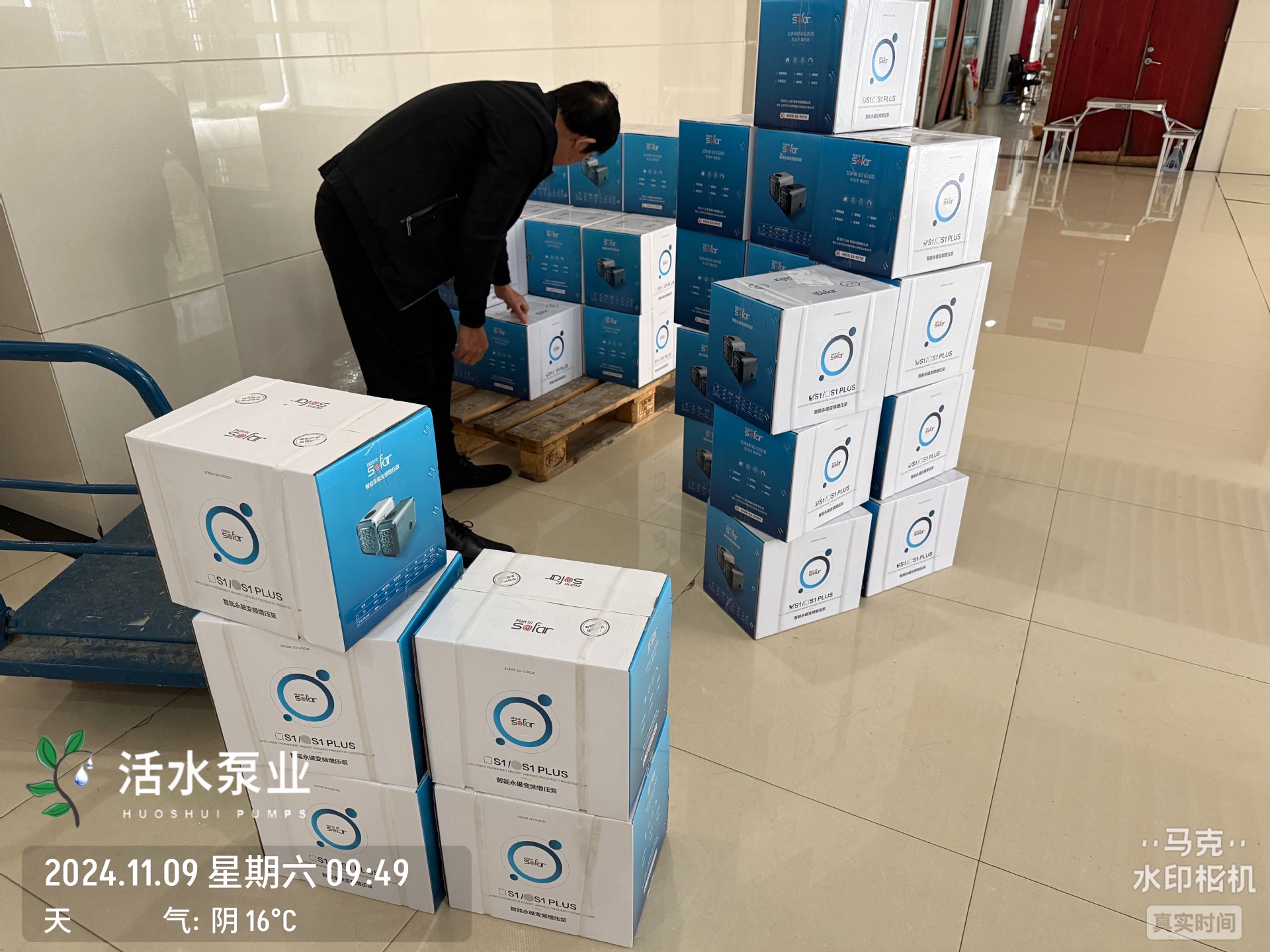 苏法尔.jpg