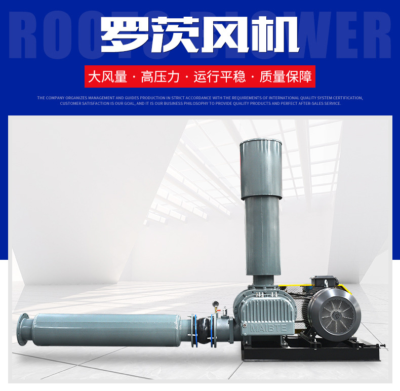污水曝气罗茨鼓风机