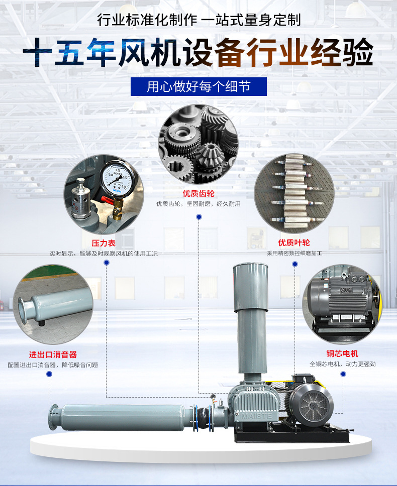 污水曝气罗茨鼓风机