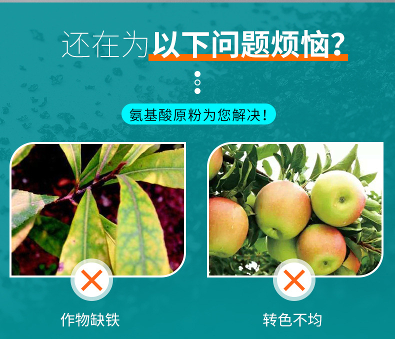 氨基酸原粉_04.jpg