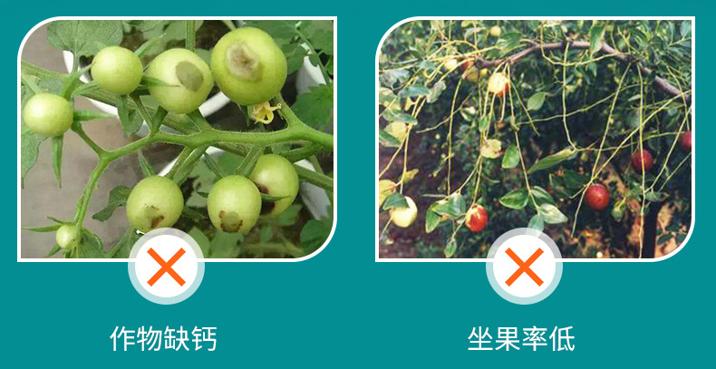 氨基酸原粉_05.jpg
