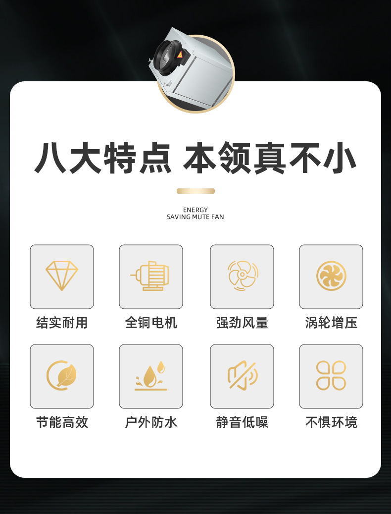详情页_02.jpg