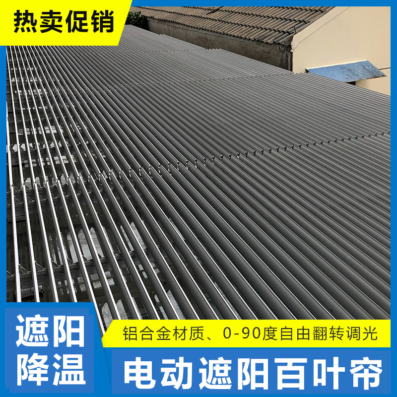 1N阳光房户外遮阳百叶帘翻板电动铝合金88e欧式百叶玻璃顶防晒隔