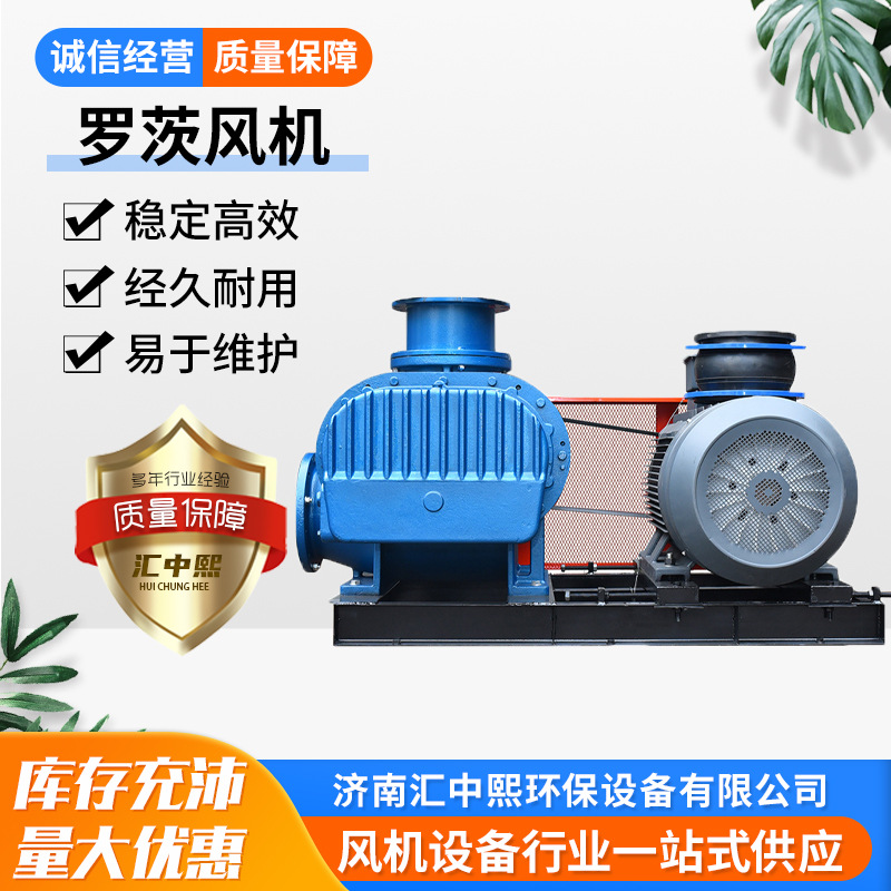 厂家直供罗茨风机负压罗茨真空泵碳钢材质罗茨风机 鱼塘养殖风机