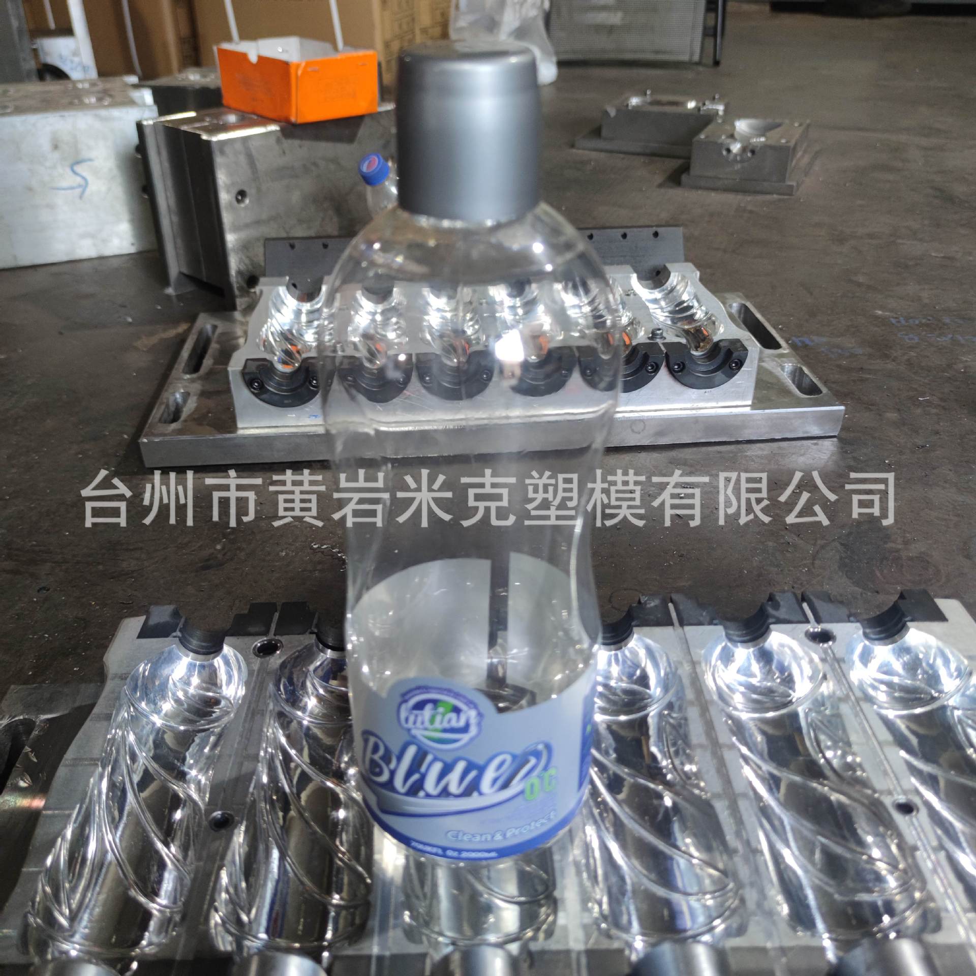 玻璃水瓶子模具 (2)