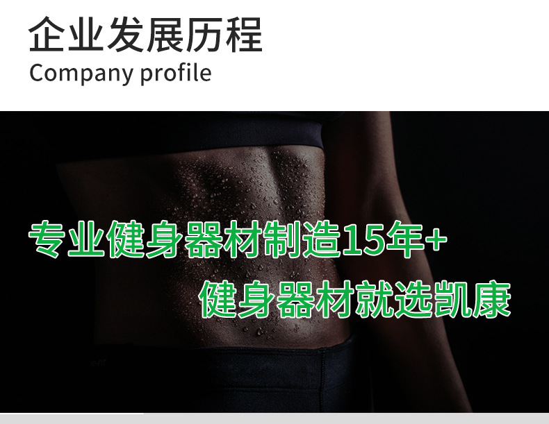 公司简介详情部分_03
