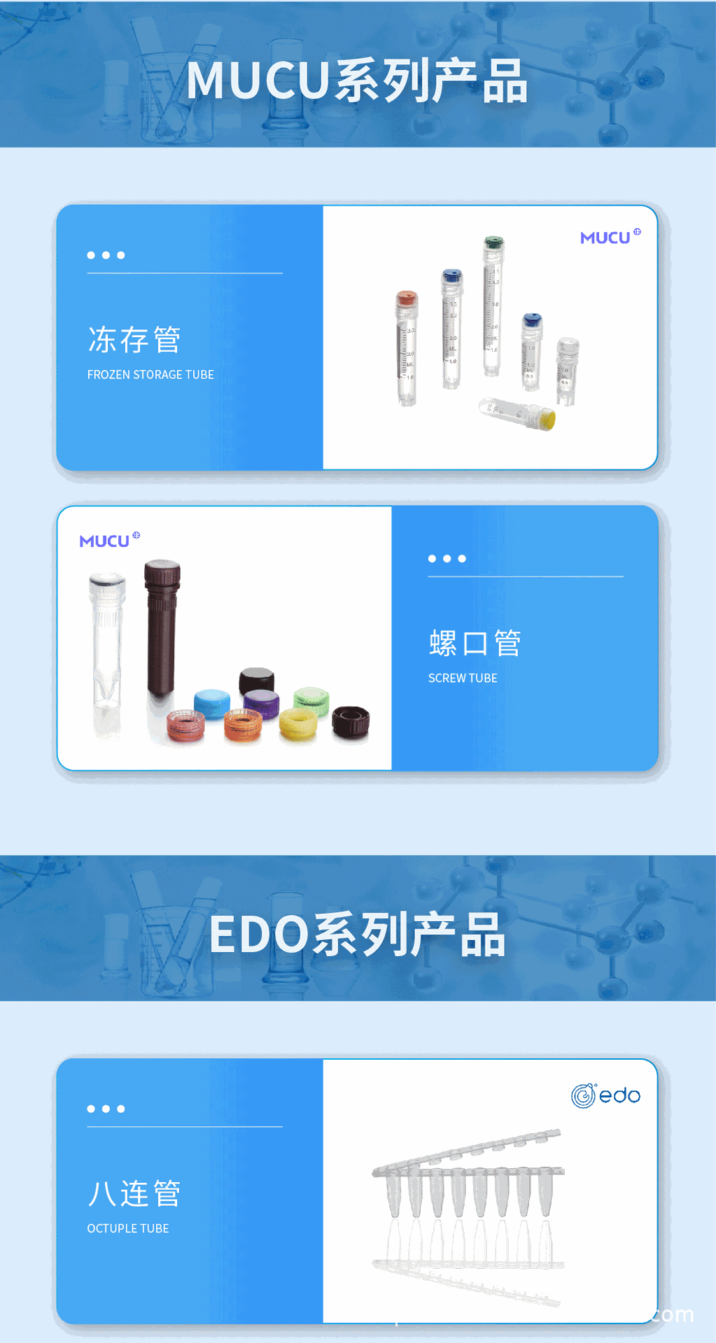 06.gif
