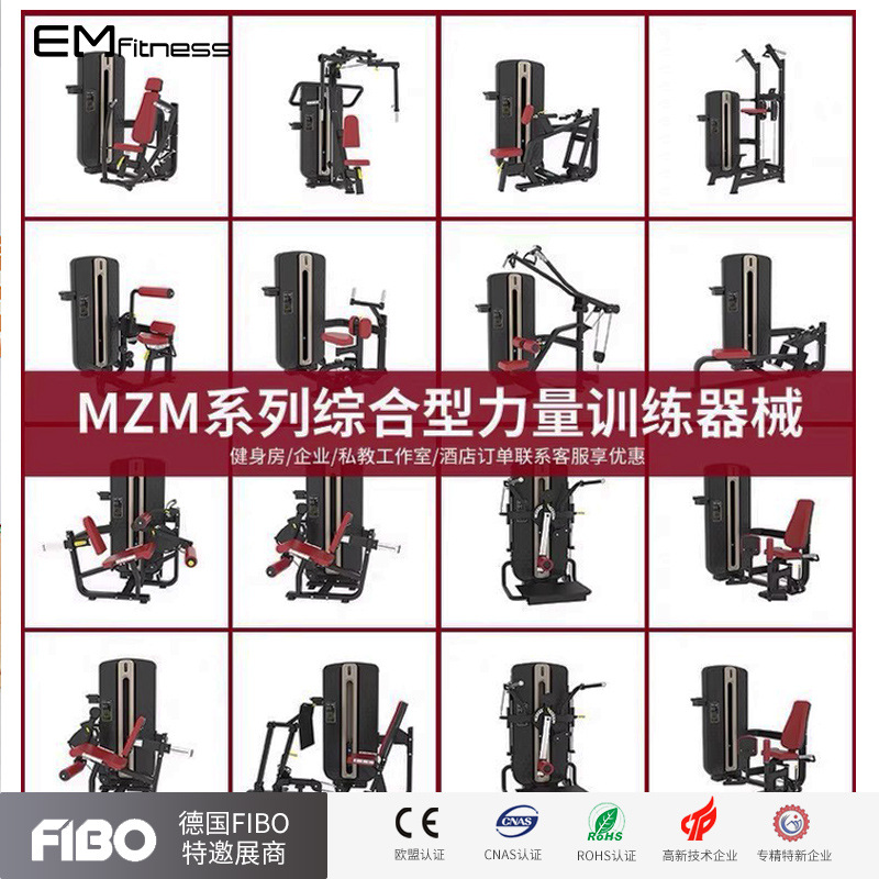 MZM正反飞鸟蝴蝶机直臂夹胸训练高拉背肌坐姿推胸伸曲腿推蹬器材