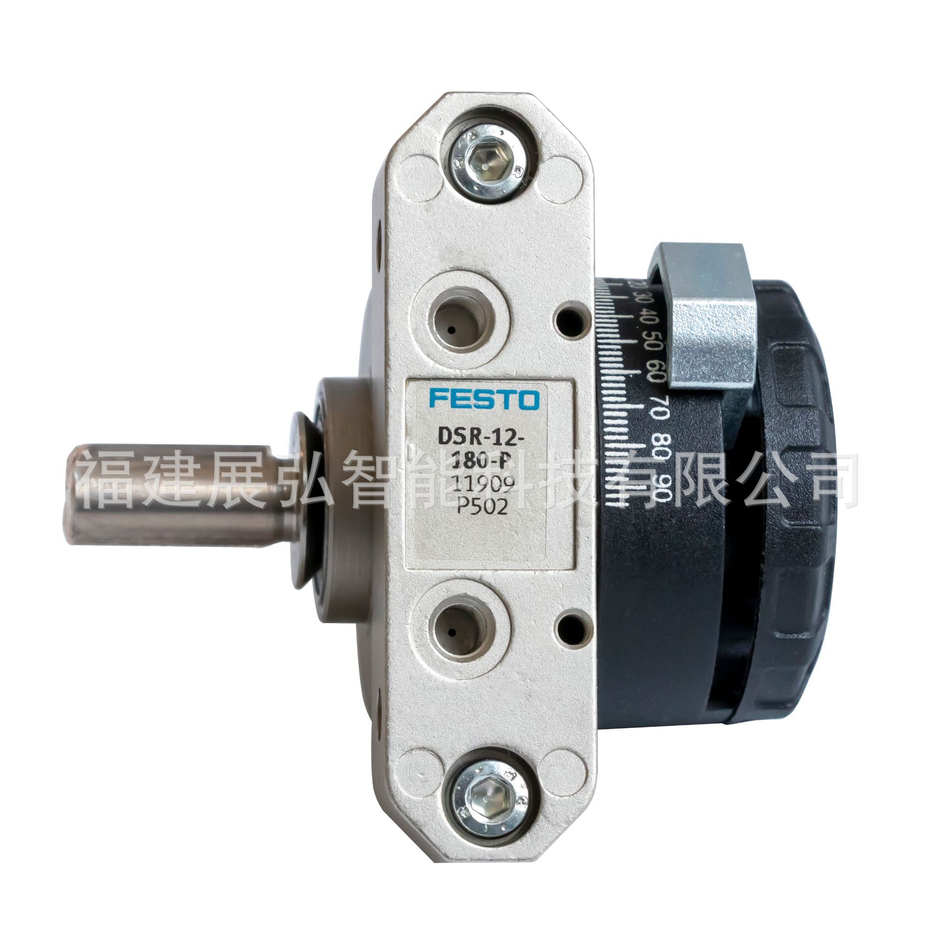 11909-DSR-12-180-P-5.jpg