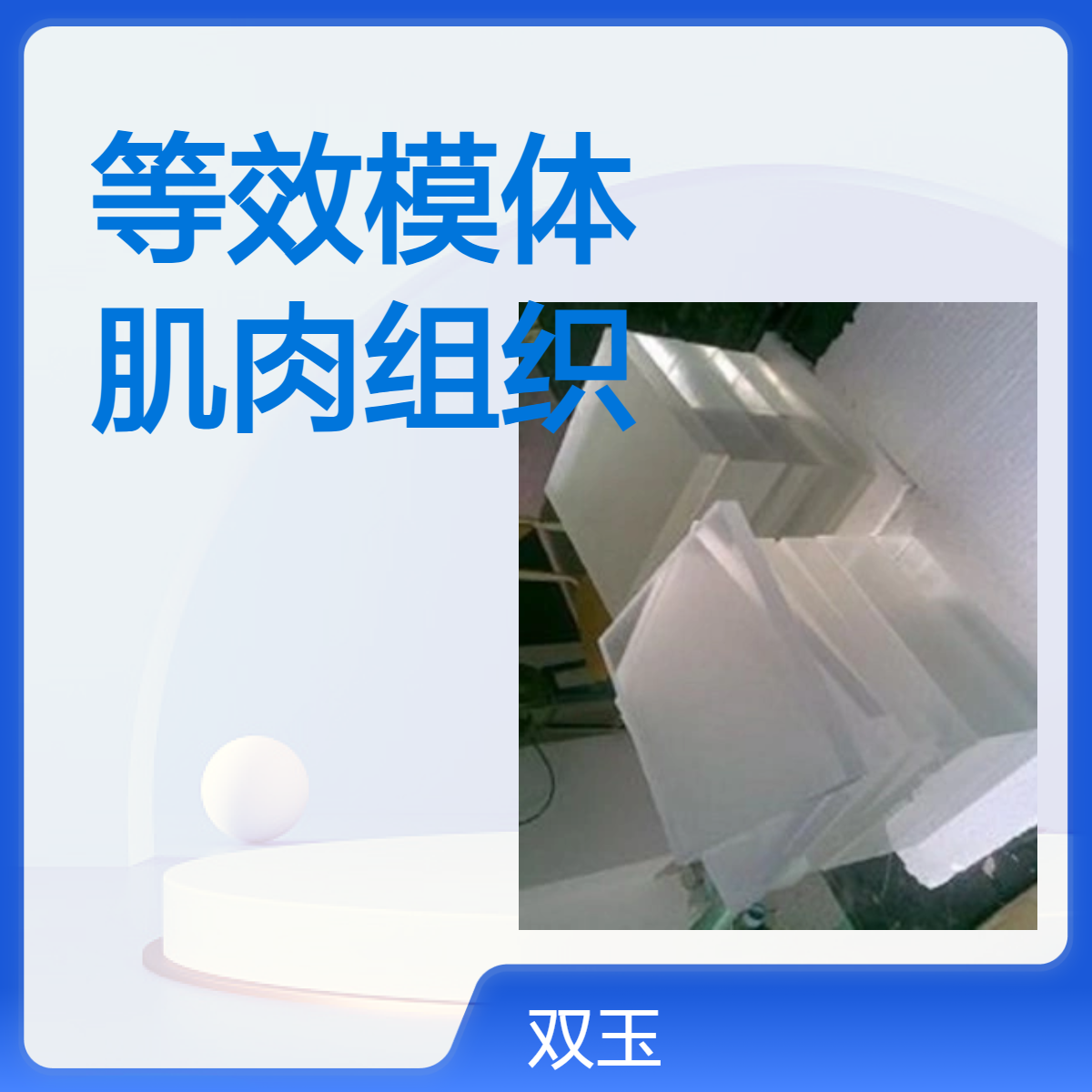 肌肉组织等效模体45HU肌肉组织等效体模可以定做