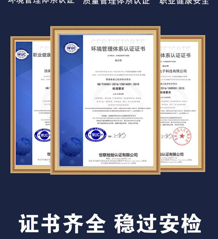 公司部分详情页_06