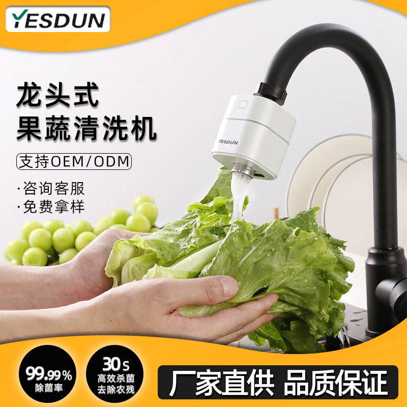 便携式智能食材果蔬净化器新款家用活氧消毒除菌去农残水果清洗机