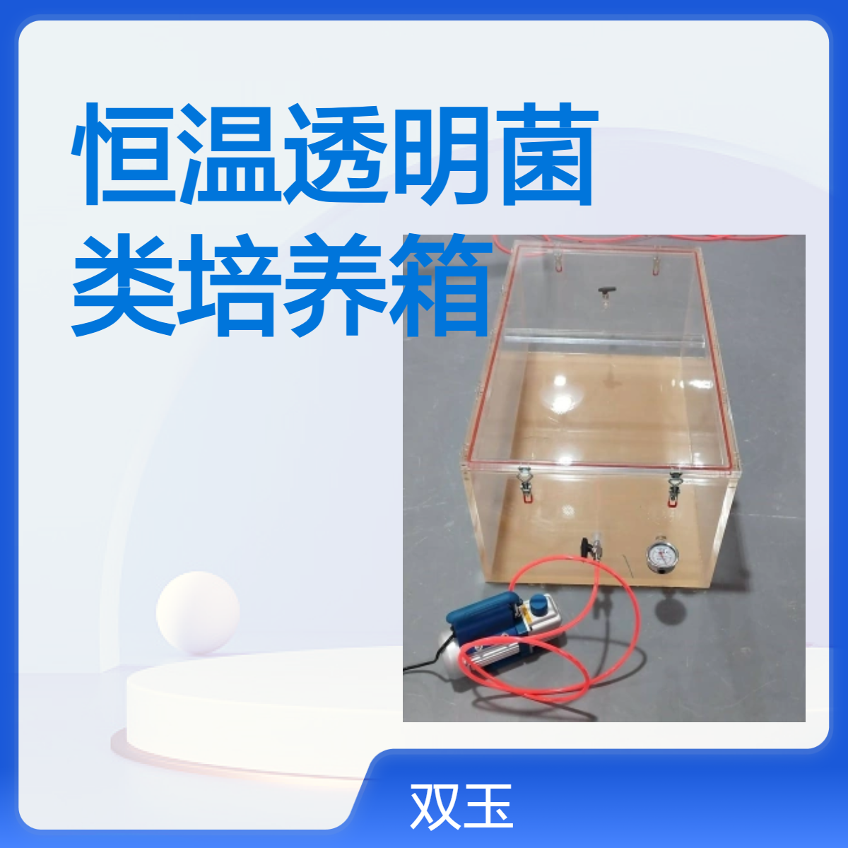 恒温透明菌类培养箱加工定制产品质量一年质保