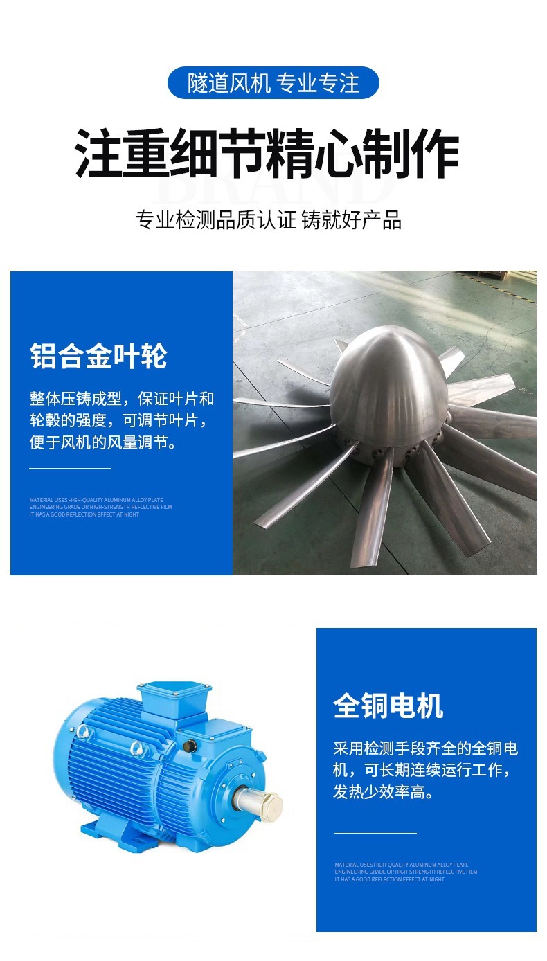 SDS_06.jpg