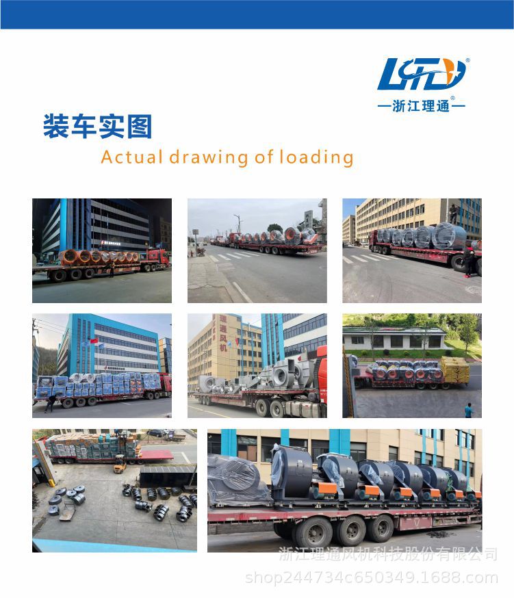 详情17