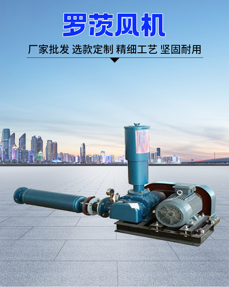 罗茨风机详情_02.jpg