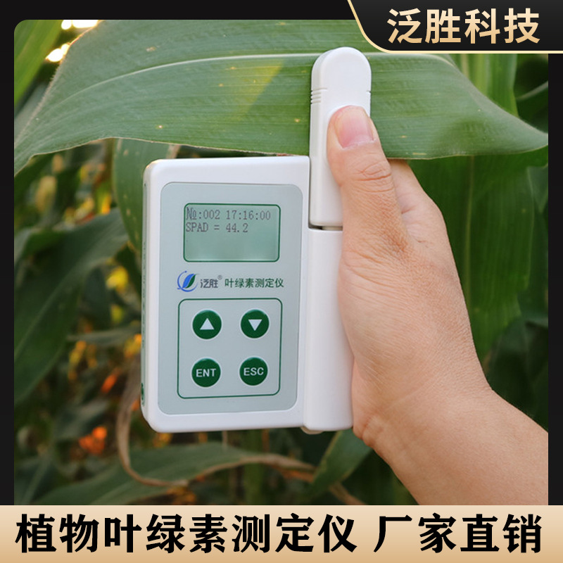 泛胜科技YLS-A植物叶绿素测定仪片氮含量营养测量检测仪叶绿素计