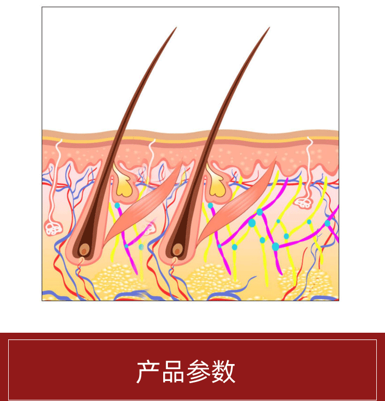 详情