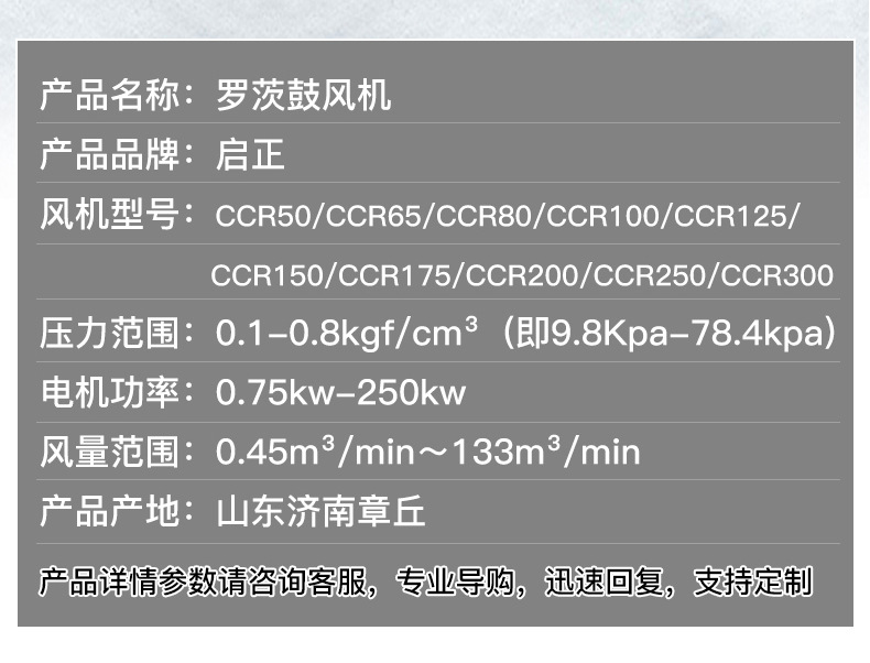 罗茨鼓风机1_09