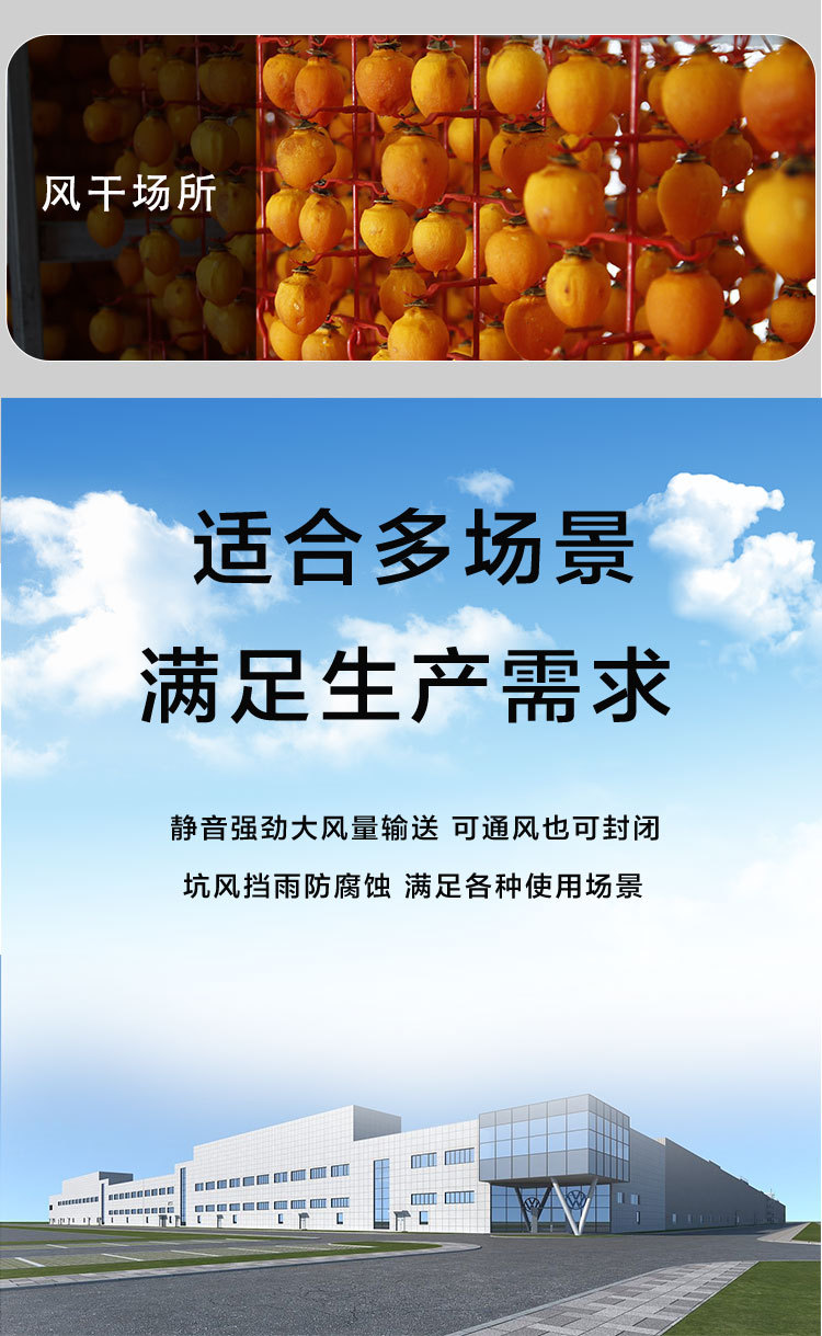 抖店最新详情页-拷贝1_19