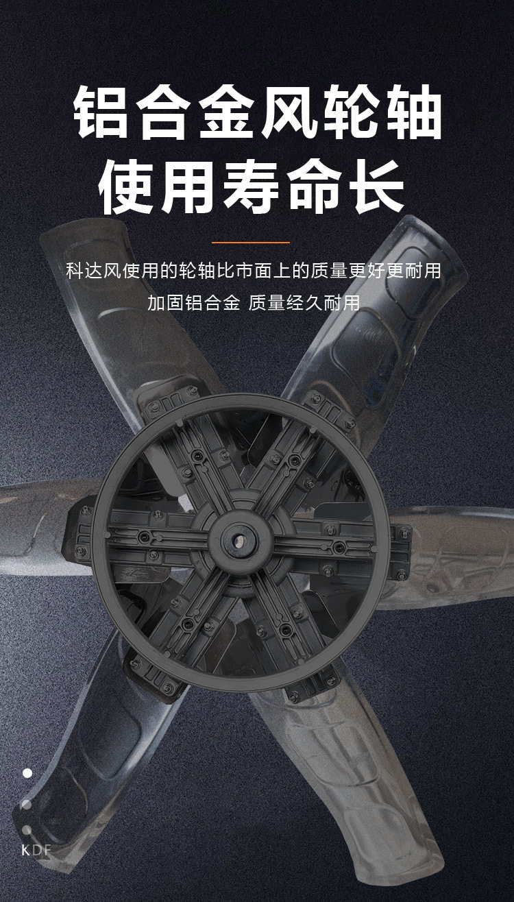 抖店最新详情页-拷贝1_12