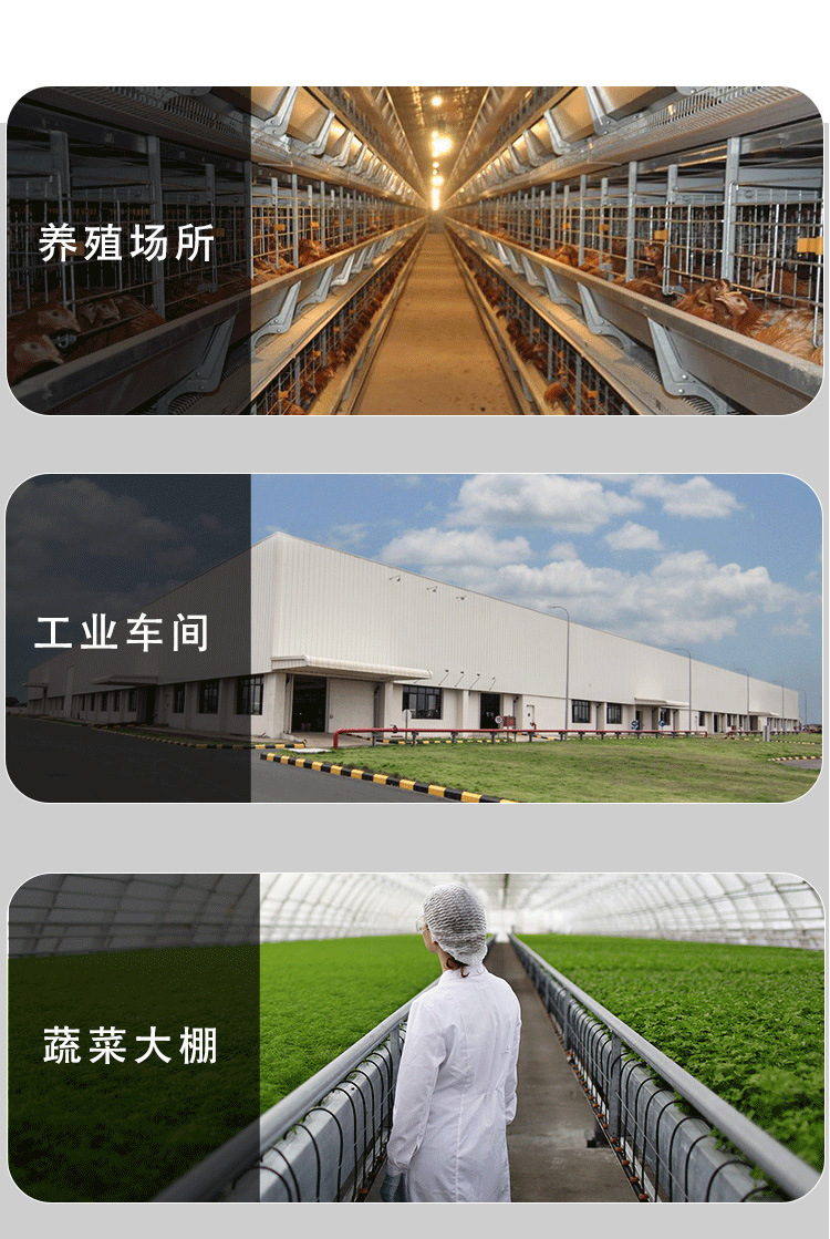 抖店最新详情页-拷贝1_18