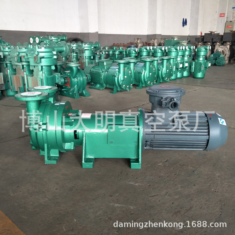 2BV6110防爆整机03