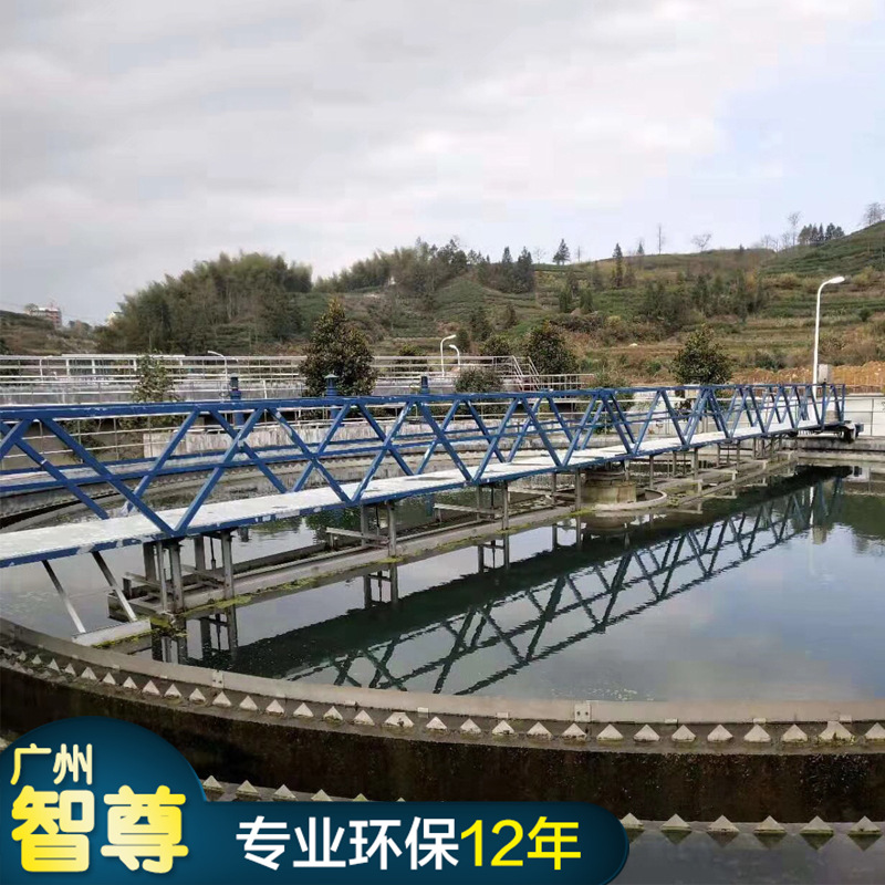 周边传动刮吸泥机 中心传动污泥浓缩机全桥式周边传动刮泥机
