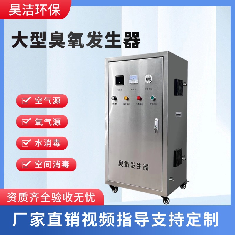 空氧气源工业大型臭氧发生器食品厂空间污水处理水产设备生产厂家