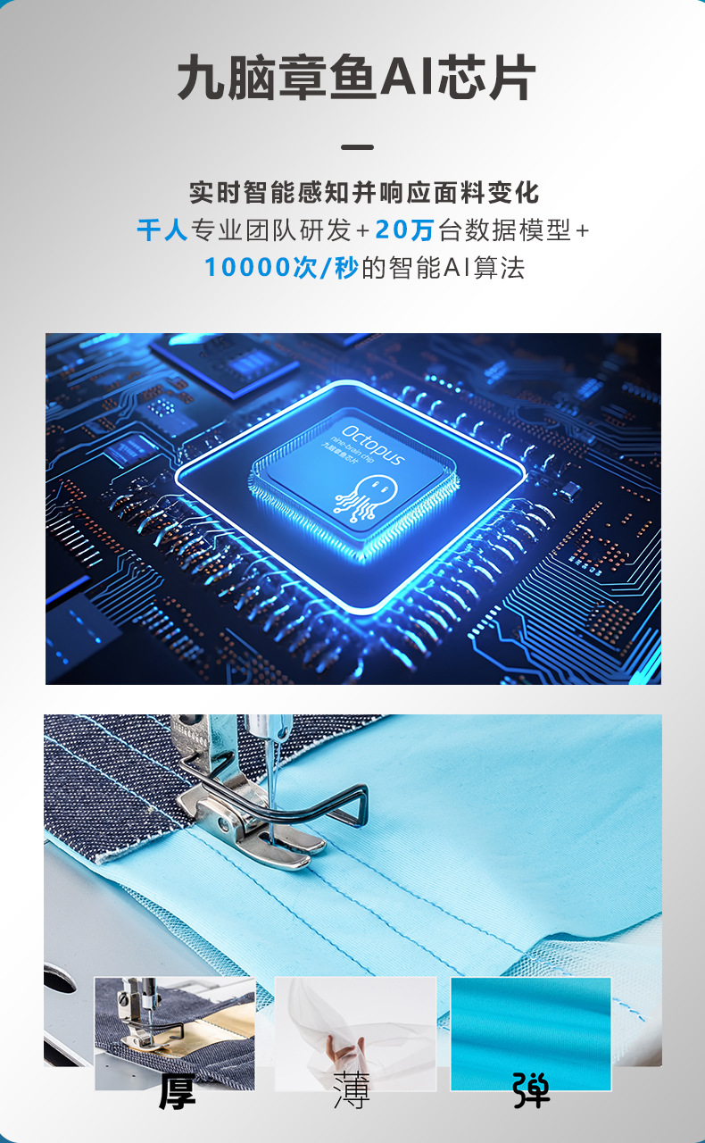 快反王长图_04.jpg