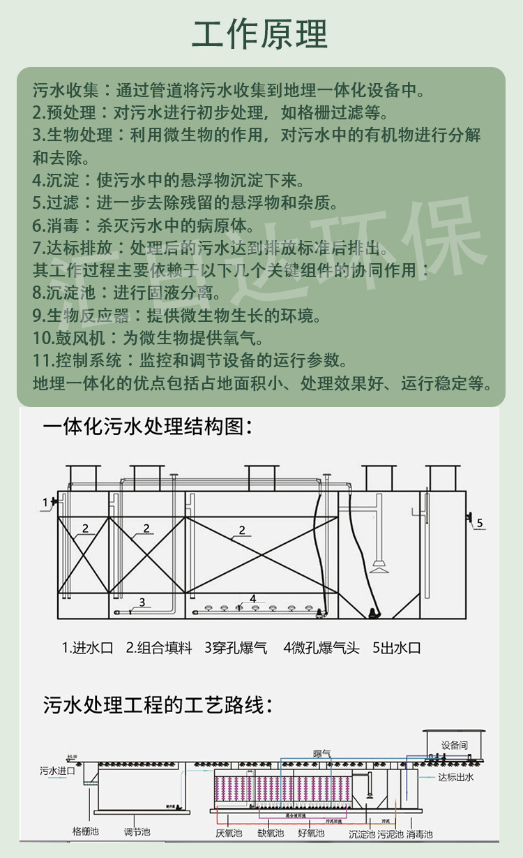 详情页2.jpg