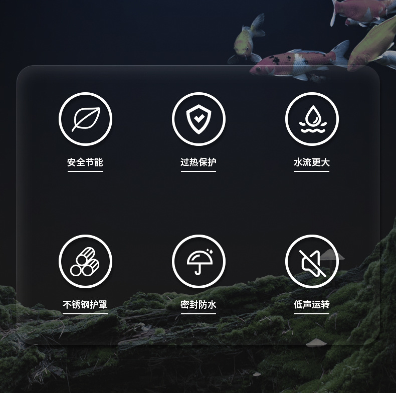 详情_02.jpg