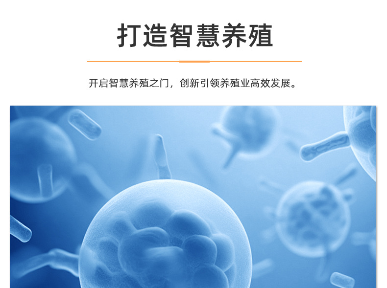 详情页-3_31.jpg