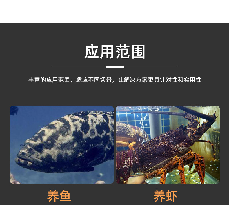 详情页-3_36.jpg